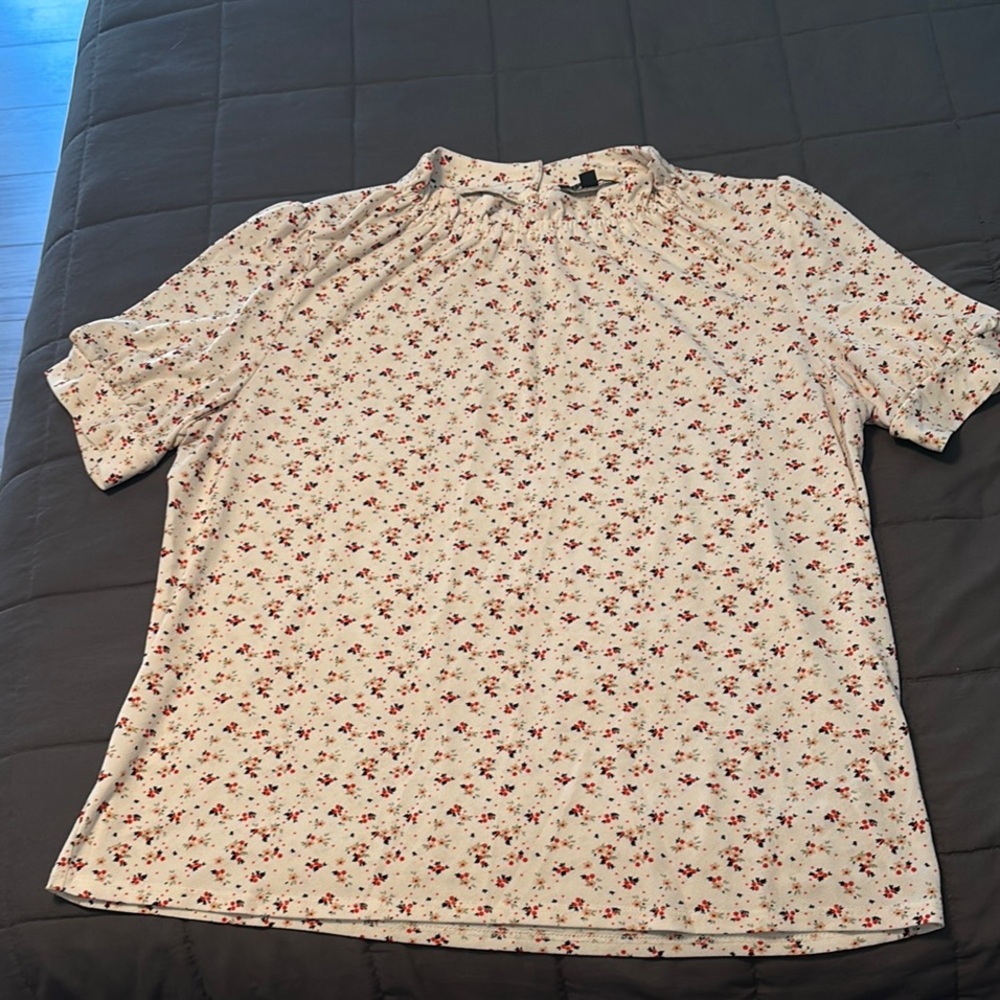 Adrianna Papell Cream and Red Short Sleeve Blouse
